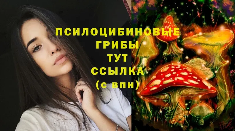 Псилоцибиновые грибы Magic Shrooms  Всеволожск 